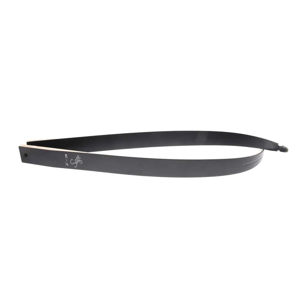 Galaxy Sage Take-Down Recurve Limbs
