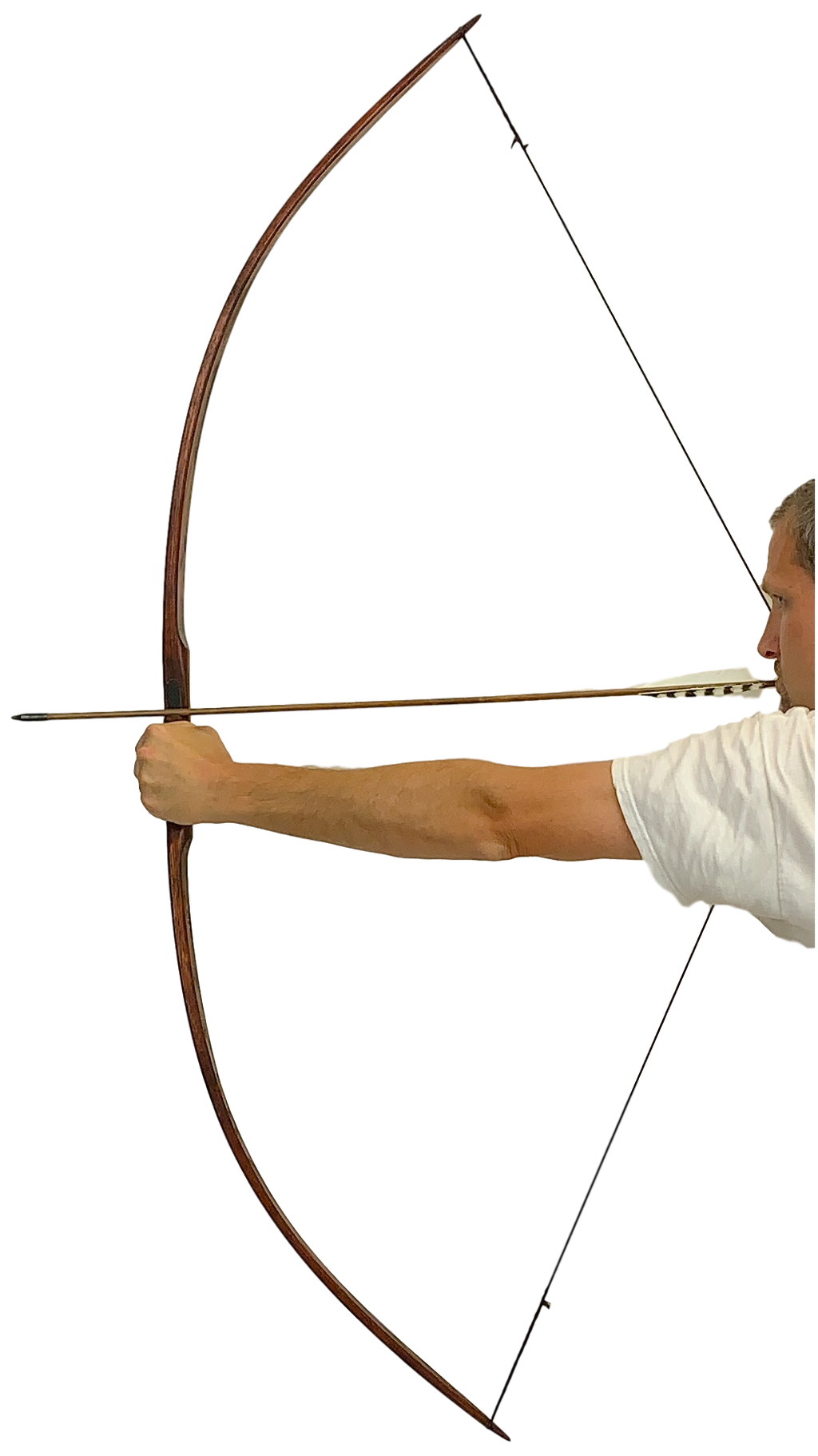 Bushman Flatbow - 65"