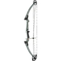 Genesis Bow  Ash LH