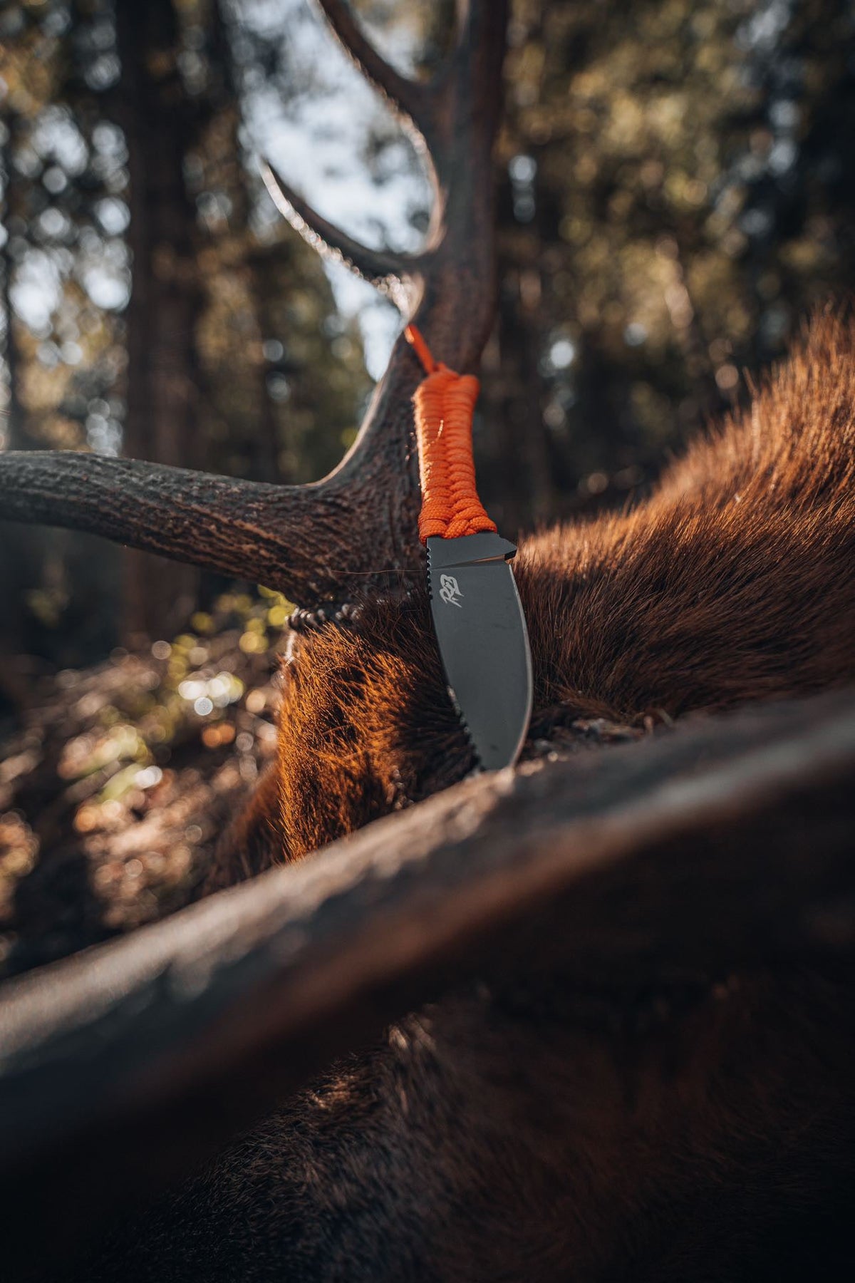 Ultralight Ridge Blade