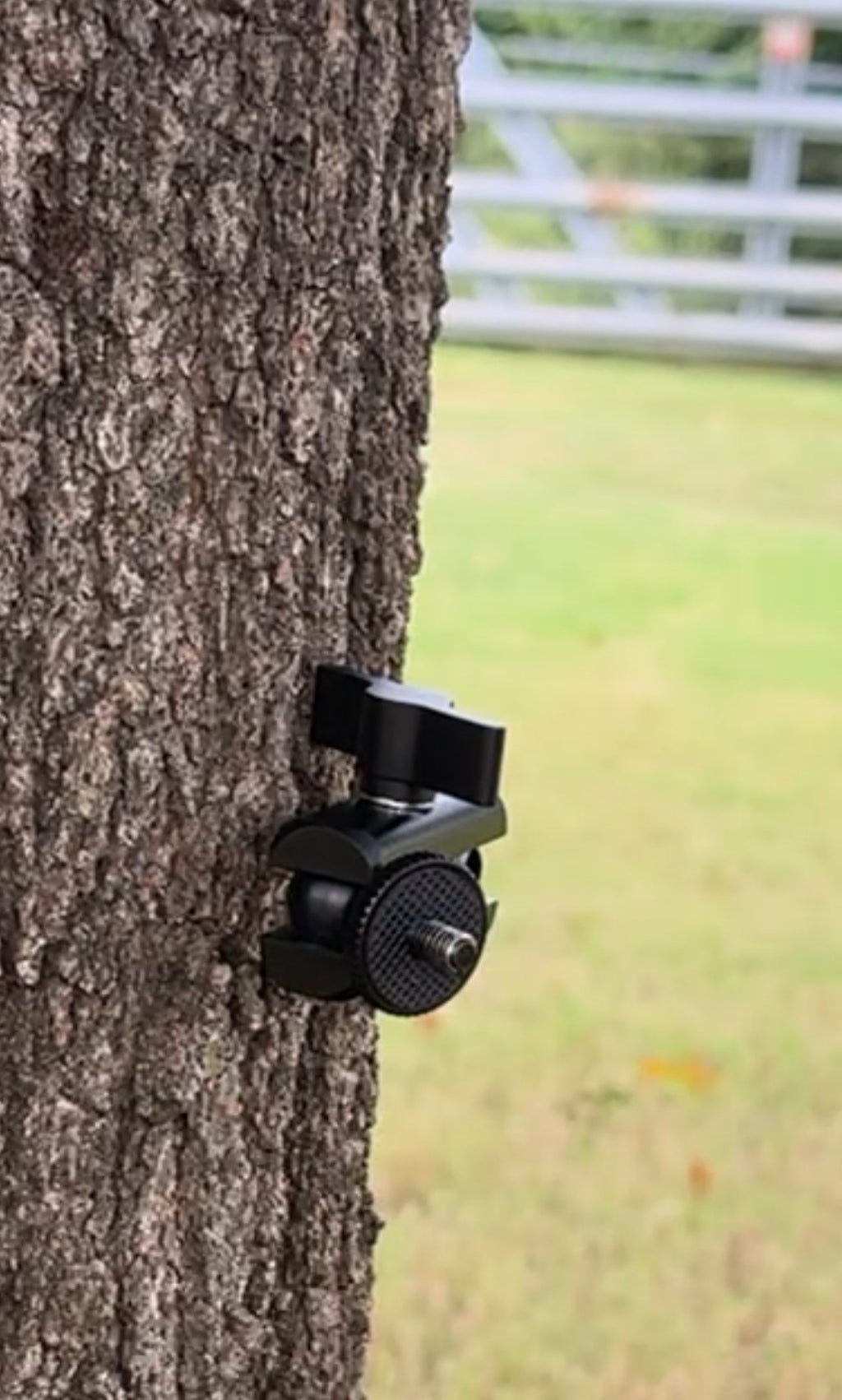 Trail Camera Tree Mount, No Straps or Rust | Tree Biter Pro