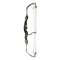 Rolan Cambium Compound Bow - Right Handed Only