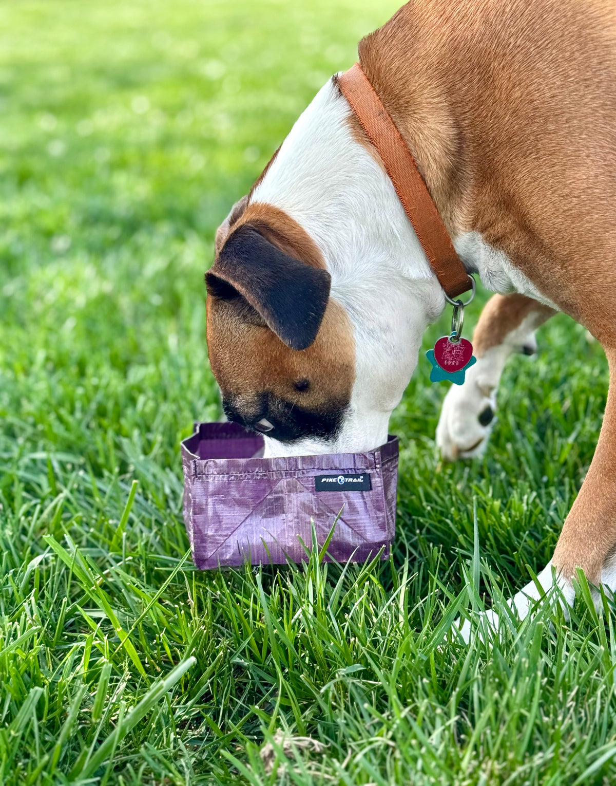 Pike Trail Dyneema Dog Bowl