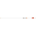 Easton 6.5 Whiteout Arrows 340 2 In. Bully Vanes 6 Pk.