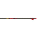Gold Tip Hunter Arrows 400 Raptor Vanes 6 Pk.