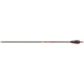 Gold Tip Hunter Arrows 500 4 In. Feathers 6 Pk.