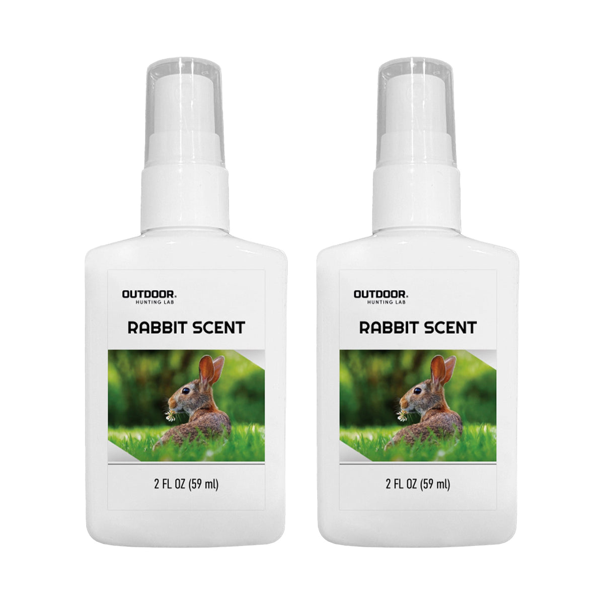 Rabbit Urine