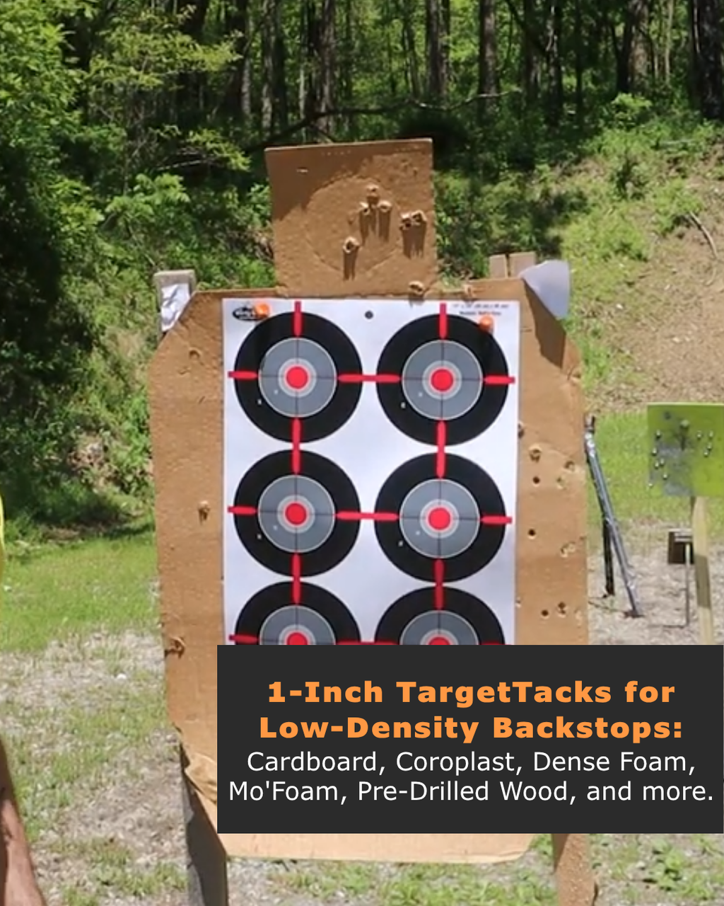 1-Inch 12-Pack of TargetTacks®