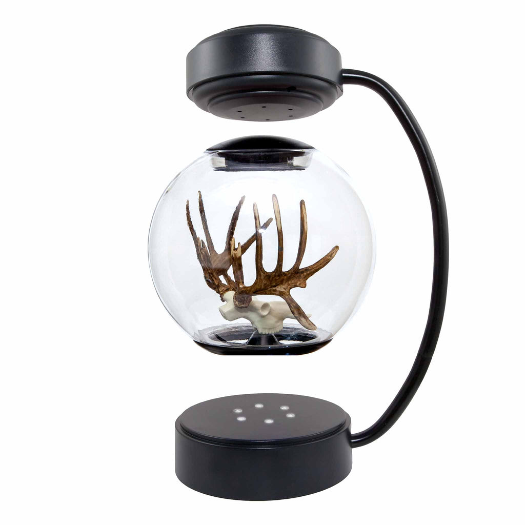 Floating Deer Antlers