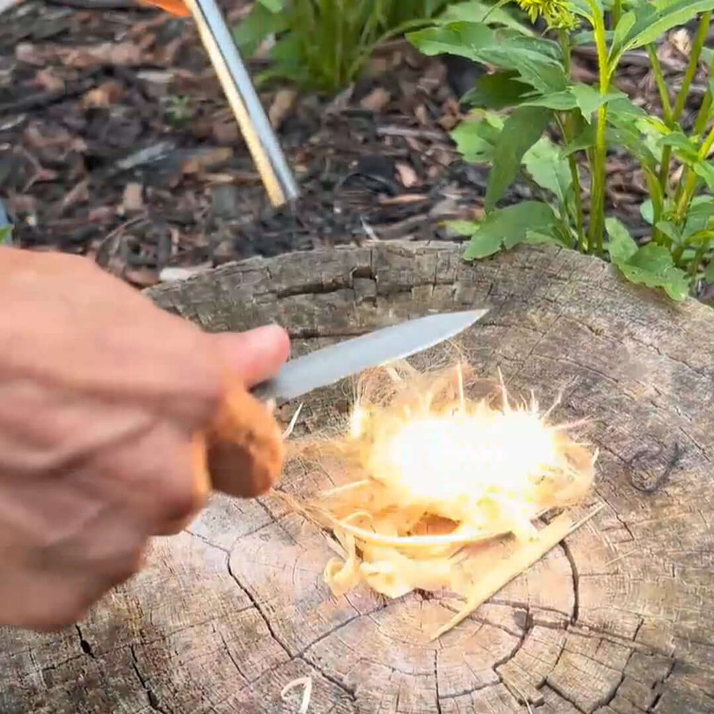 Quick Feather Folding Knife